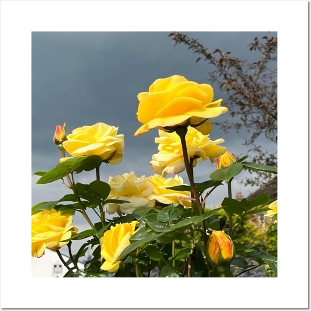 Bunch Of Yellow Roses With Clear Sky In Background Wall Art by DiventDigitals